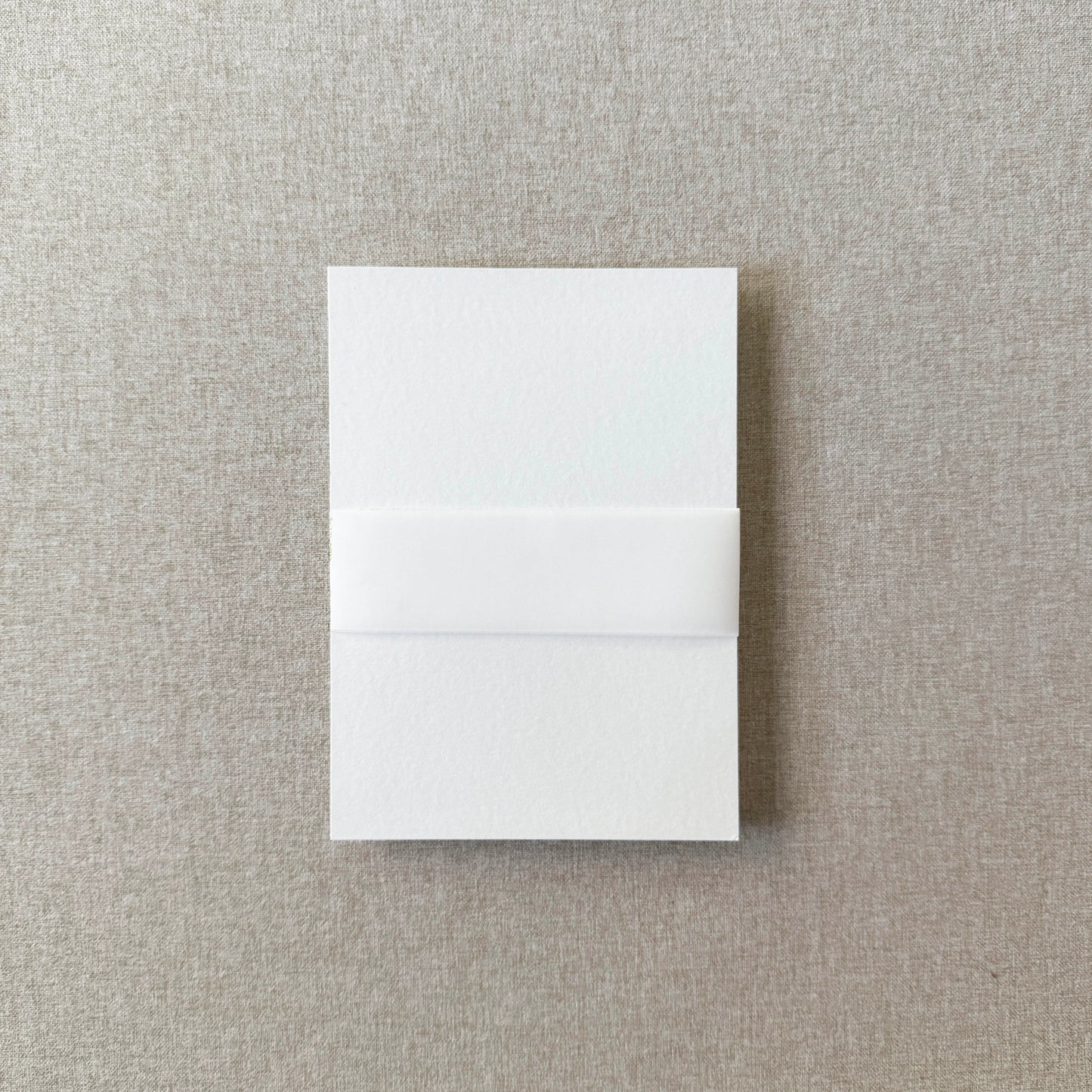 Blank Vellum Belly Band | Set of 10