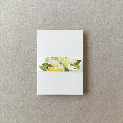 Lemon Vellum Belly Band | Set of 10