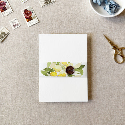 Lemon Vellum Belly Band | Set of 10
