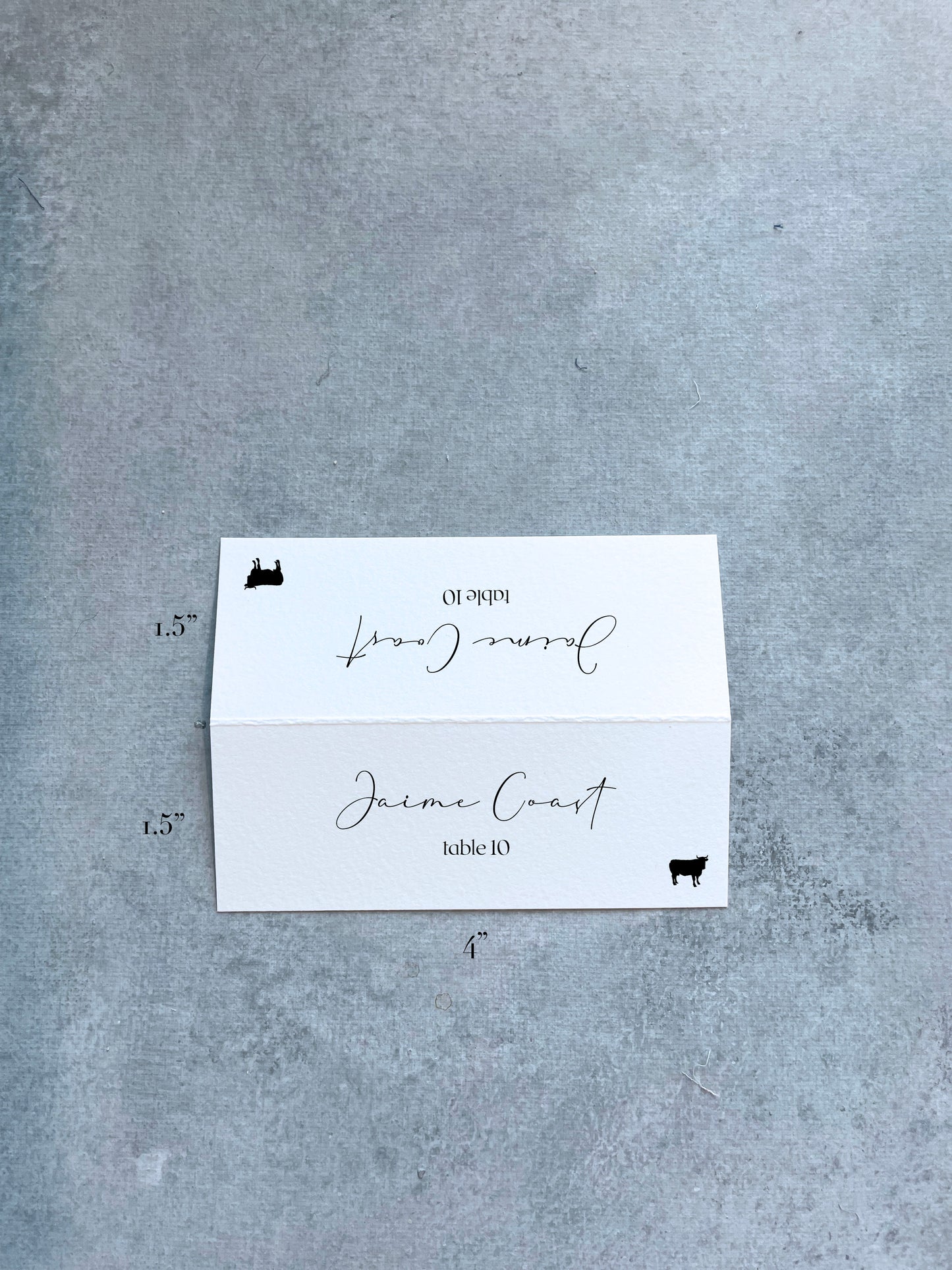 Tented Place Card | Set of 10 | Printed