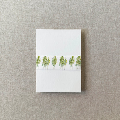Aspen Trees Watercolor Vellum Belly Band | Set of 10